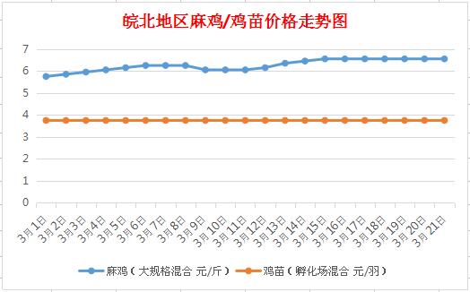 皖北麻鸡最新价格报价与市场趋势分析